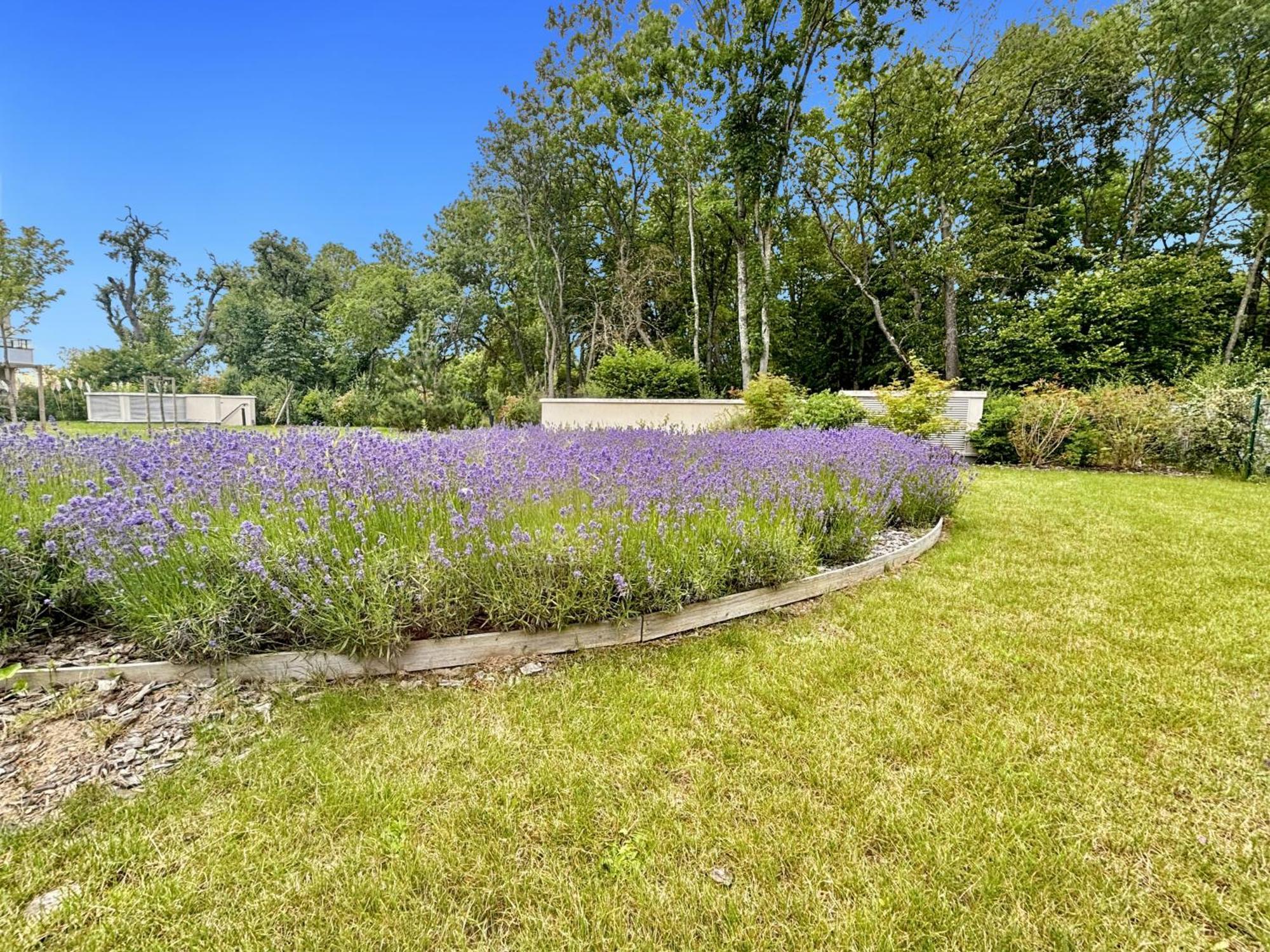 Sunny Suite Disneyland Paris - Rentaway Bnb Montévrain Esterno foto